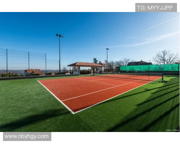 网球运动的历史发展与技术演变：从草地到硬地场的全景探秘